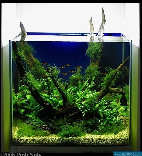 还亏掉了4年的按揭贷款将近50万左右