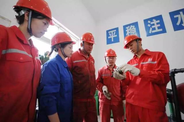 泰鸿万立的营业收入分别为14.78亿元、15.44亿元、16.89亿元